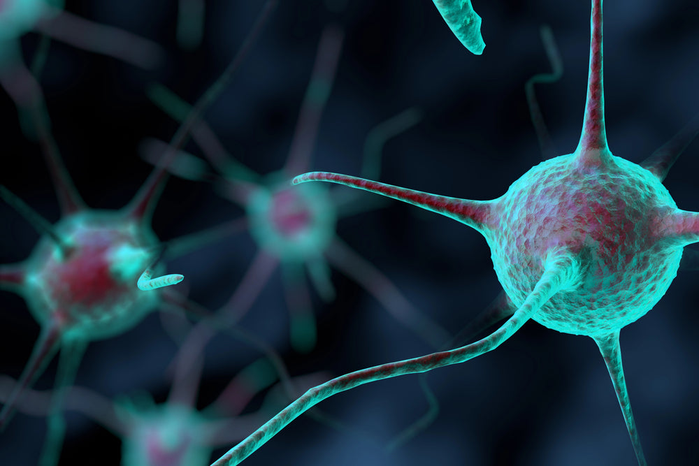 autoimmune disease